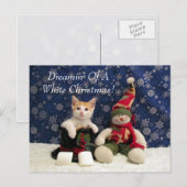 Kat, Kitten, Kerstmis, Redding, Foto Feestdagenkaart (Voorkant / Achterkant)