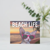 KAT KITTEN OP STRAND ZONNEBRIL Kaarten (Staand voorkant)