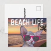 KAT KITTEN OP STRAND ZONNEBRIL Kaarten (Voorkant / Achterkant)