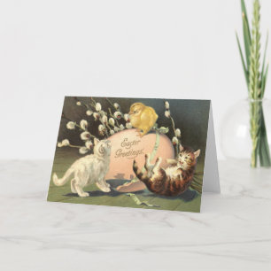 Kat Kitten Pasen Gekleurd Geschilderd Ei Kuiken Feestdagen Kaart