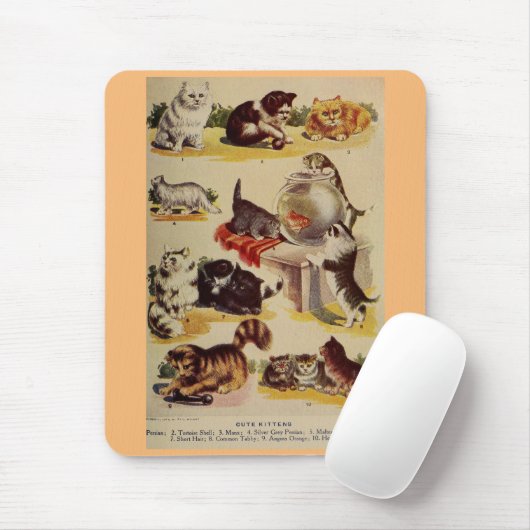  kat kitten rasgrafiek schattig muismat (Met muis)