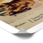 kat kitten rasgrafiek schattig poster (Hoek)