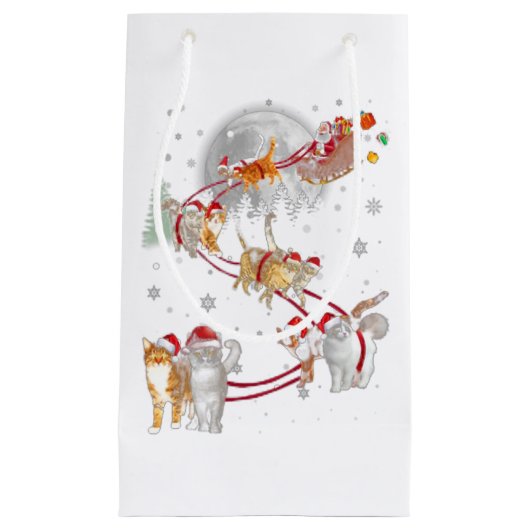 Kat Kitten Slaap Slaapse Sneeuwen Slaap Slaapse Ke Klein Cadeauzakje (Voorkant)