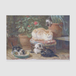 Kat & Kittens · Henriette Ronner-Knip (1821-1909) Tissuepapier