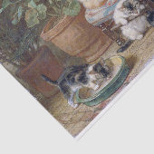 Kat & Kittens · Henriette Ronner-Knip (1821-1909) Tissuepapier (Detail)