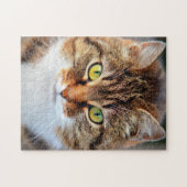 Kat-klauw Legpuzzel (Horizontaal)