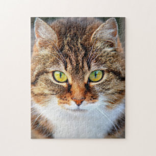 Kat-klauw Legpuzzel
