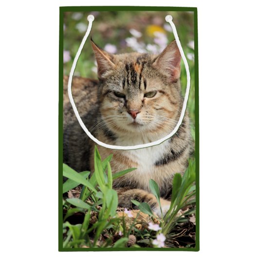 Kat Klein Cadeauzakje (Achterkant)