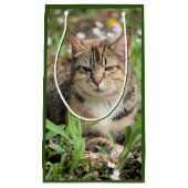 Kat Klein Cadeauzakje (Voorkant)