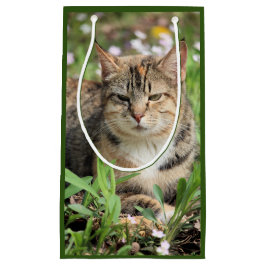 Kat Klein Cadeauzakje