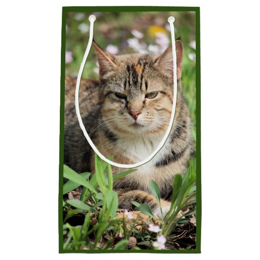 Kat Klein Cadeauzakje (Voorkant)