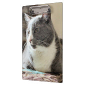 Kat Klembord (Links)