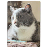 Kat Klembord (Achterkant)