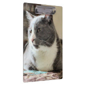 Kat Klembord (Rechts)