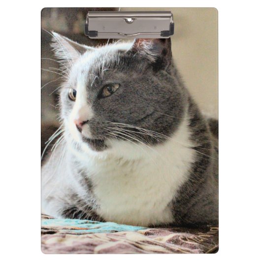 Kat Klembord (Voorkant)