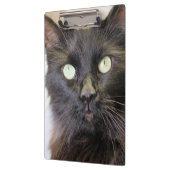 Kat Klembord (Links)