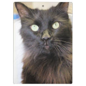 Kat Klembord (Achterkant)