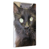 Kat Klembord (Rechts)