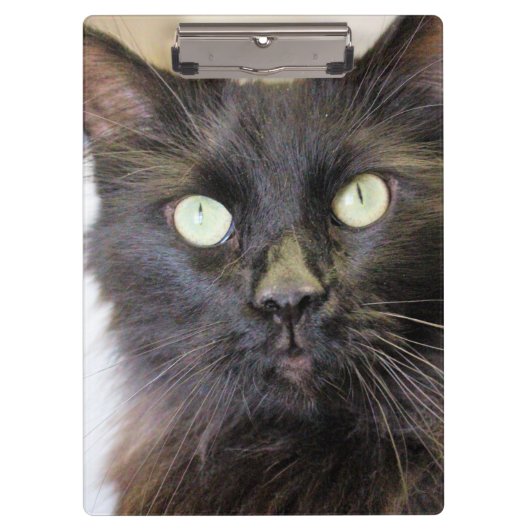 Kat Klembord (Voorkant)