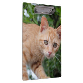 Kat Klembord (Rechts)