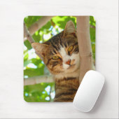 Kat-klimboom Muismat (Met muis)