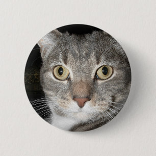 Kat knop ronde button 5,7 cm