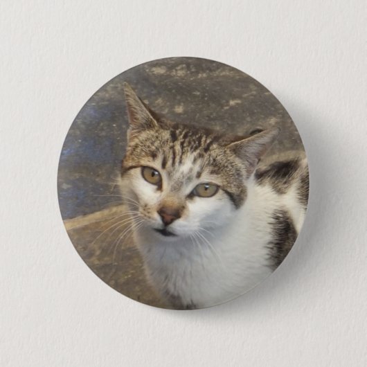 Kat knop ronde button 5,7 cm (Voorkant)