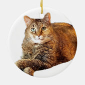 KAT KNOPTE VLAK KERAMISCH ORNAMENT (Achterkant)