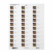 Kat, Koe en kalf Etiket (Full Sheet)