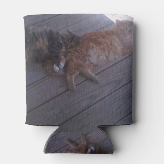 Kat-Koelbox Blikjeskoeler (Achterkant)