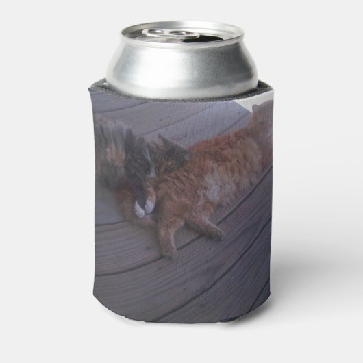 Kat-Koelbox Blikjeskoeler (Blikje Achterkant)