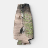 Kat-Koelbox Flesjeskoeler (Achterkant)