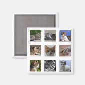 Kat Koelkast Magnet (Voorkant / Achterkant)