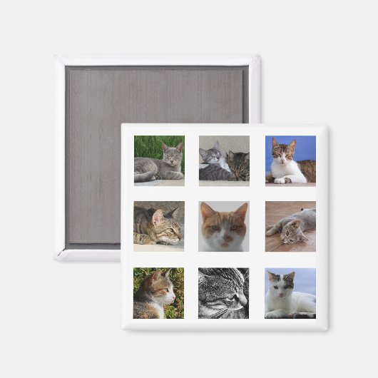 Kat Koelkast Magnet (Voorkant / Achterkant)