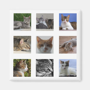 Kat Koelkast Magnet