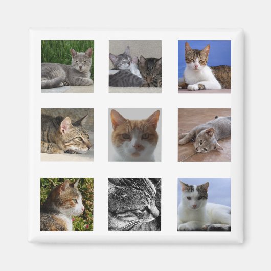 Kat Koelkast Magnet (Voorkant)