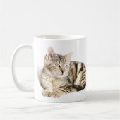 Kat Koffiemok (Links)