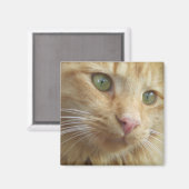 Kat Koi Magnet (Voorkant / Achterkant)