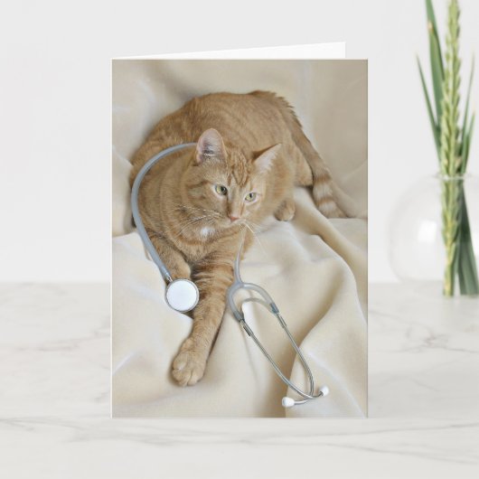 Kat krijgt goede kaart (Voorkant)