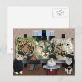Kat Kunstschool Briefkaart (Voorkant / Achterkant)