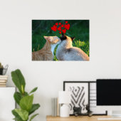 Kat kus poster (Thuiskantoor)