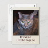 Kat laat de honden eruit briefkaart (Voorkant / Achterkant)