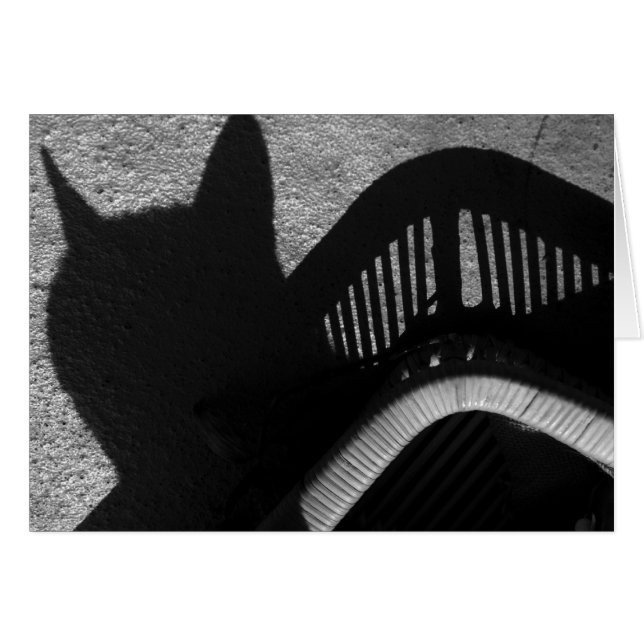 Kat lade (Voorkant Horizontaal)