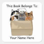 Kat Lady Starter Kit Bookplate Vierkante Sticker (Voorkant)