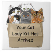Kat Lady Starter Kit Tegeltje (Voorkant)