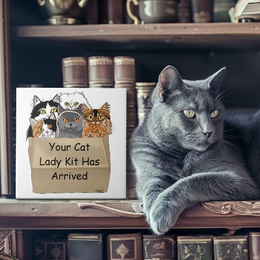 Kat Lady Starter Kit Tegeltje