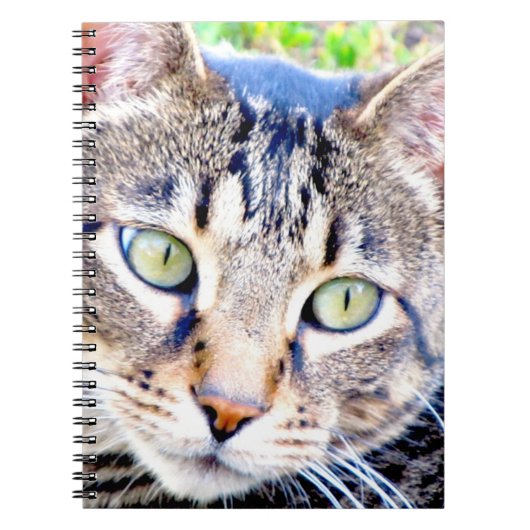 Kat-laptop Notitieboek (Voorkant)