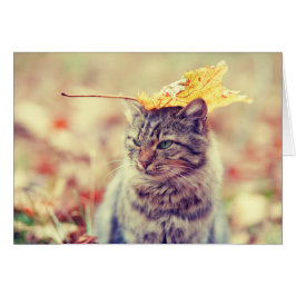 Kat Leaf Balancing Act