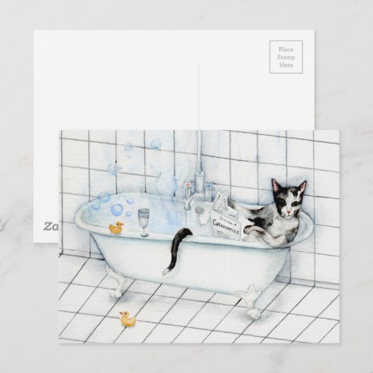 Kat leest krant in bad briefkaart (Voorkant / Achterkant)