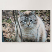 Kat Legpuzzel (Horizontaal)